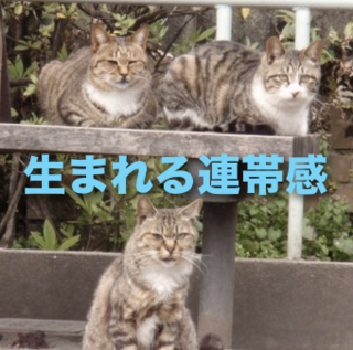 ԐM@\Ő܂Aъ