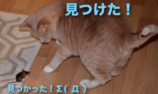 結構見つかります。