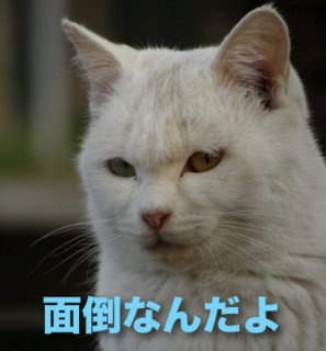 フォロワー増加は面倒