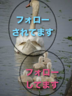 tH[Ƃ͂ł